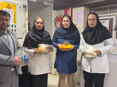تجلیل از مقام زن و مادر در بیمارستان شهید رجایی یاسوج